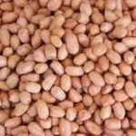 Argentine Runner Peanuts High Oleic Aotermin Comex